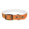 P&P Dog Collar - Orange