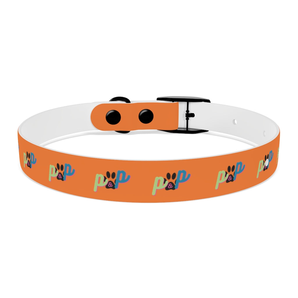 P&P Dog Collar - Orange