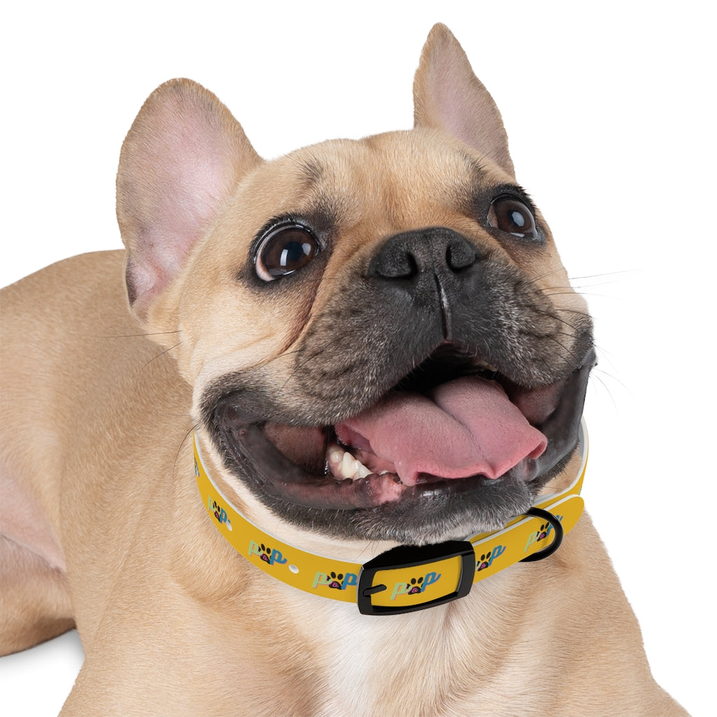 P&P Dog Collar - Yellow