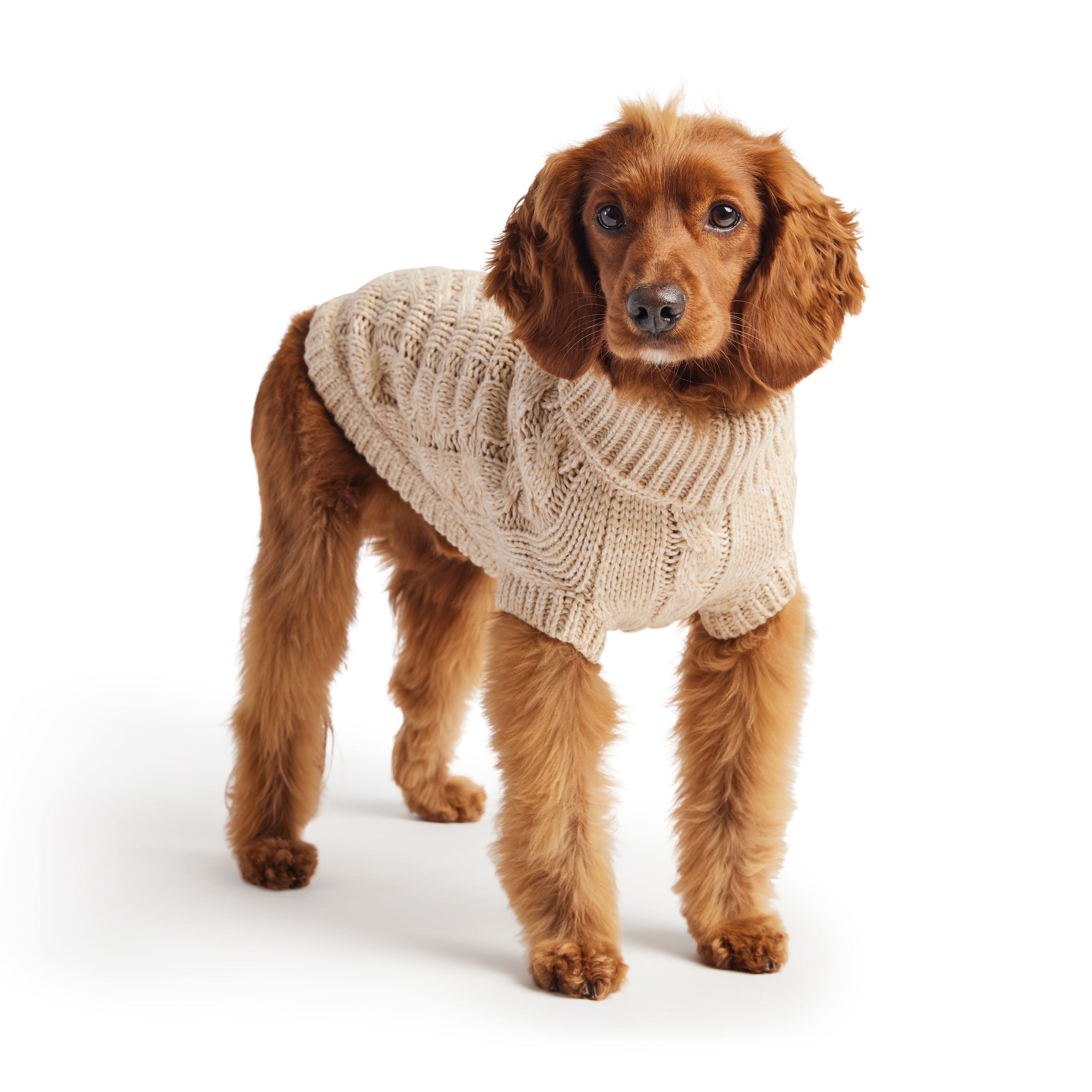 Red Chalet Dog Sweater