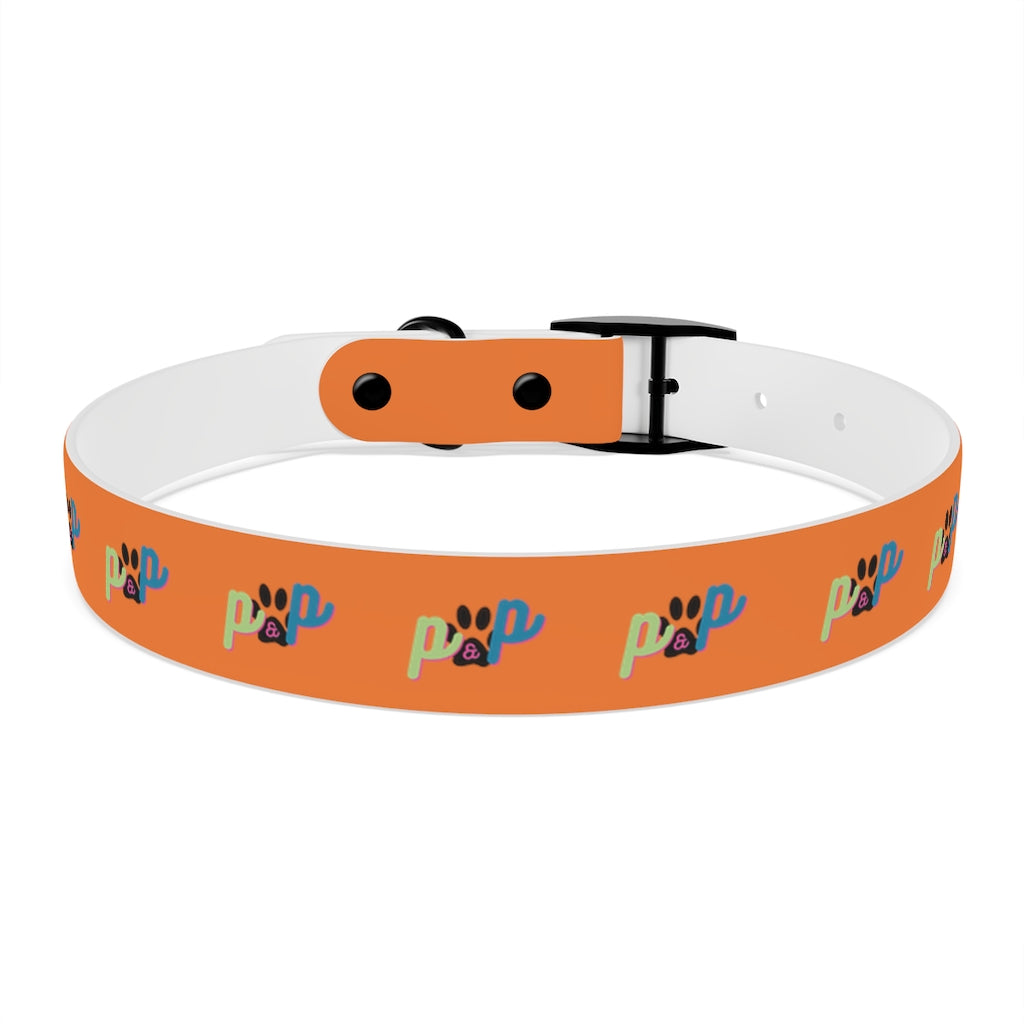 P&P Dog Collar - Orange