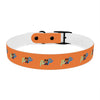 P&P Dog Collar - Orange