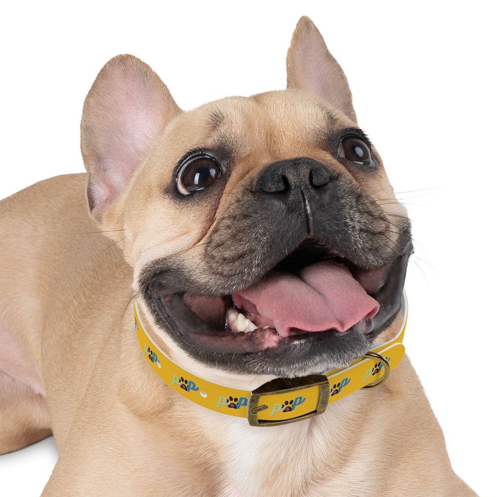 P&P Dog Collar - Yellow