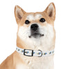 P&P Dog Collar - White