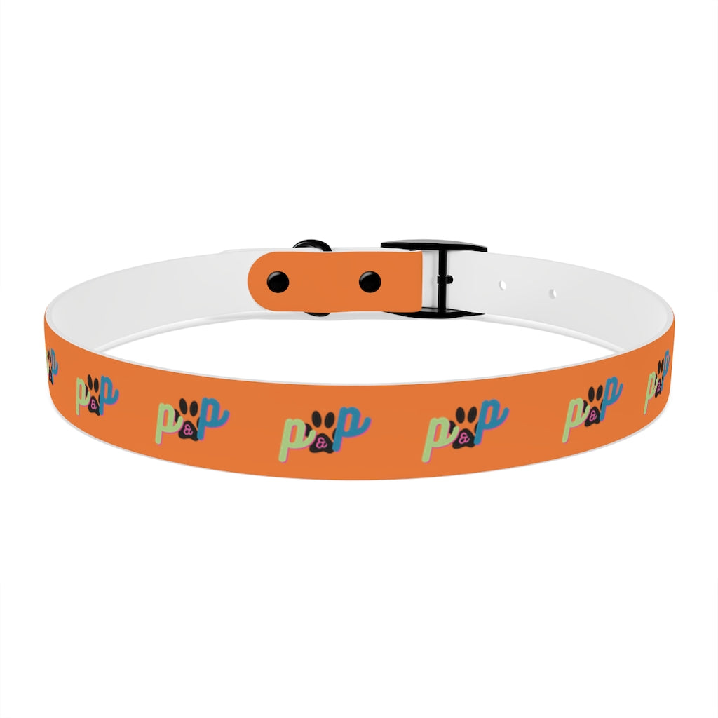 P&P Dog Collar - Orange