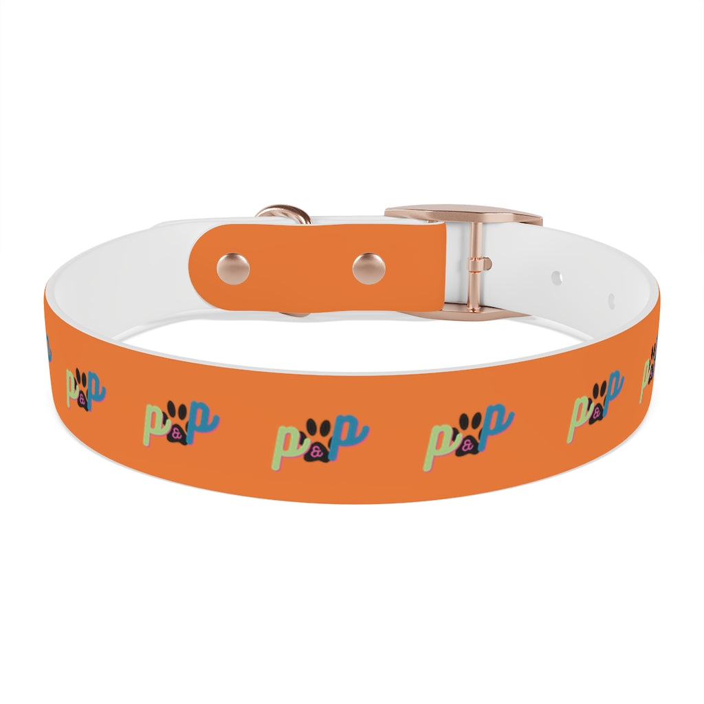 P&P Dog Collar - Orange