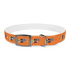 P&P Dog Collar - Orange