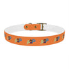 P&P Dog Collar - Orange