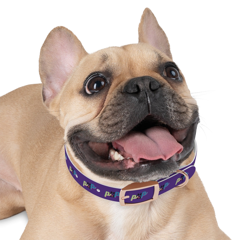 P&P Dog Collar - Purple