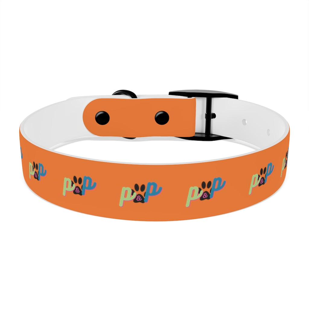 P&P Dog Collar - Orange