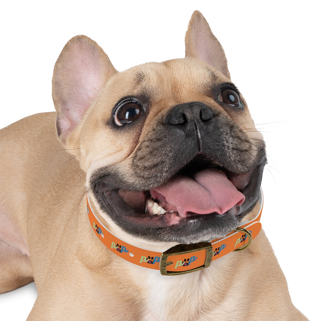 P&P Dog Collar - Orange