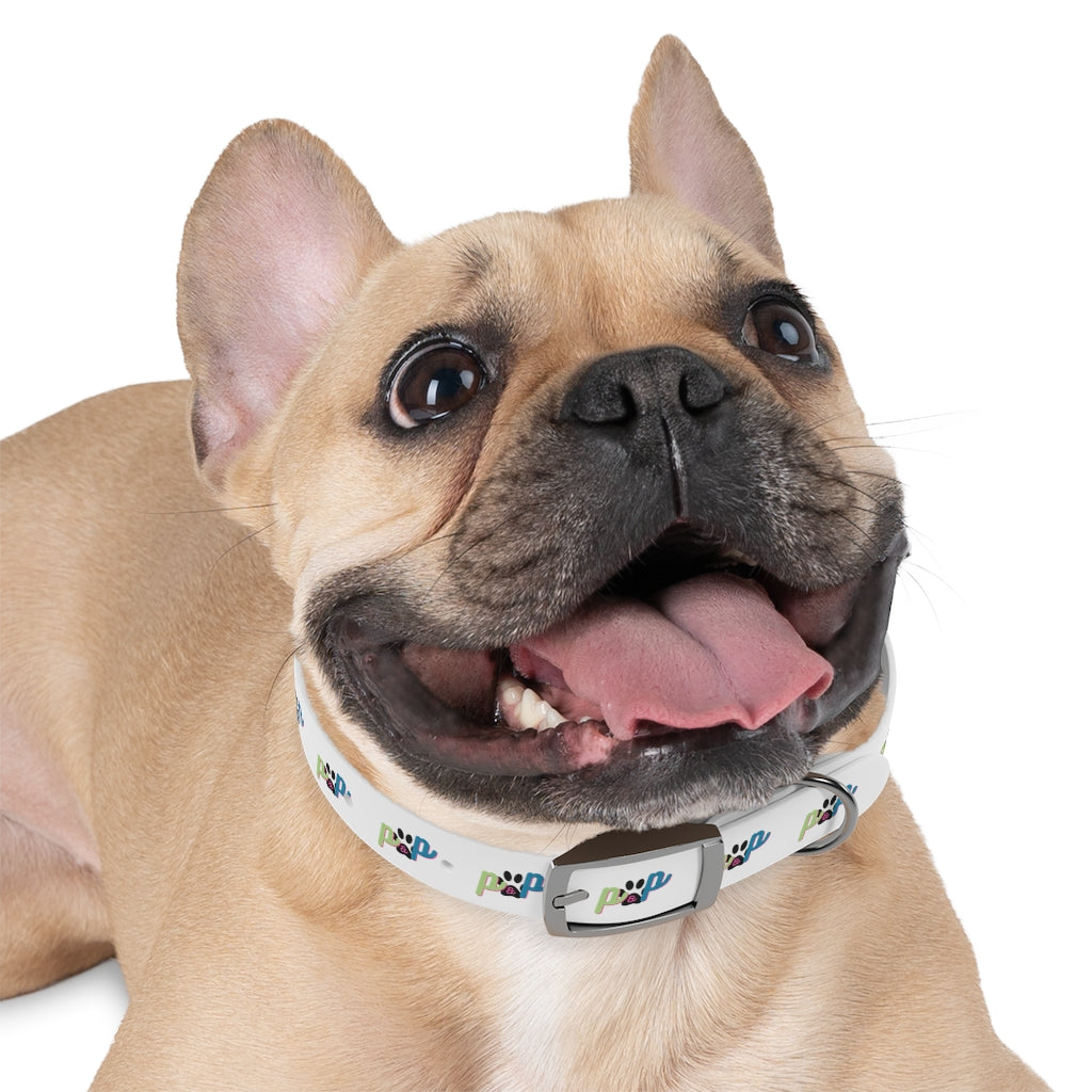 P&P Dog Collar - White