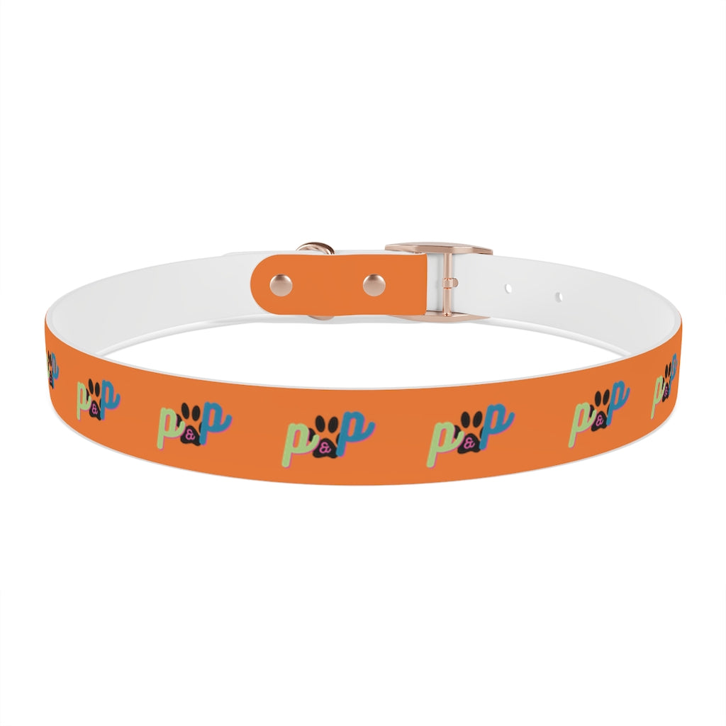 P&P Dog Collar - Orange