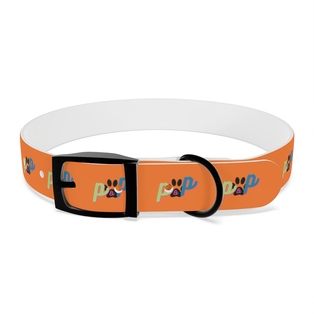 P&P Dog Collar - Orange