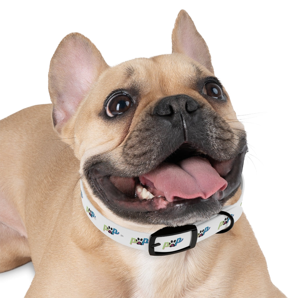 P&P Dog Collar - White