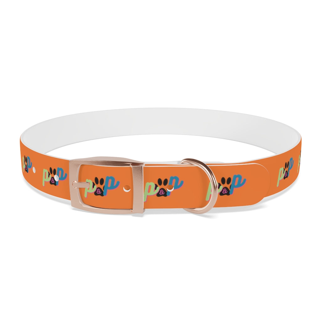 P&P Dog Collar - Orange