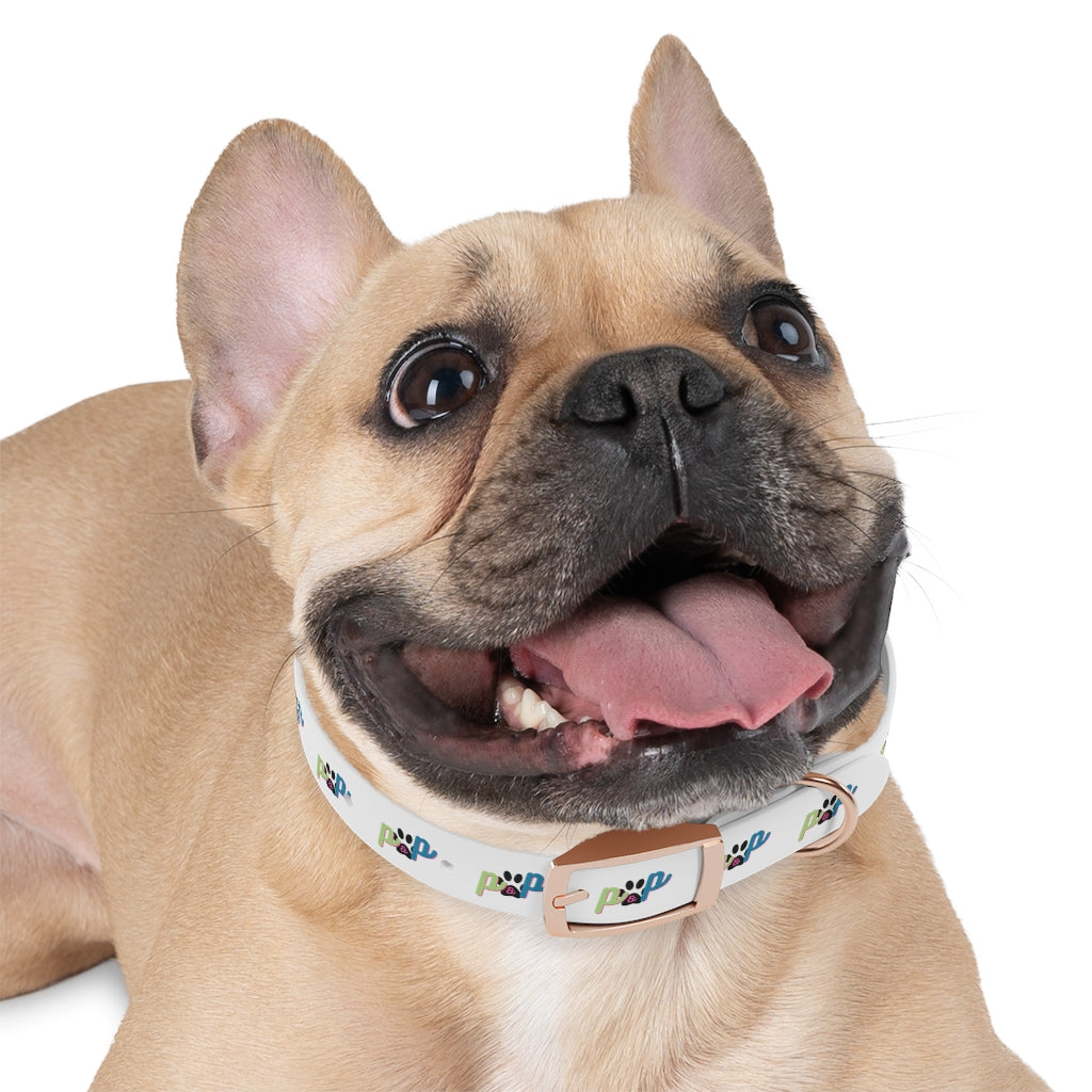 P&P Dog Collar - White