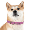 P&P Dog Collar - Pink