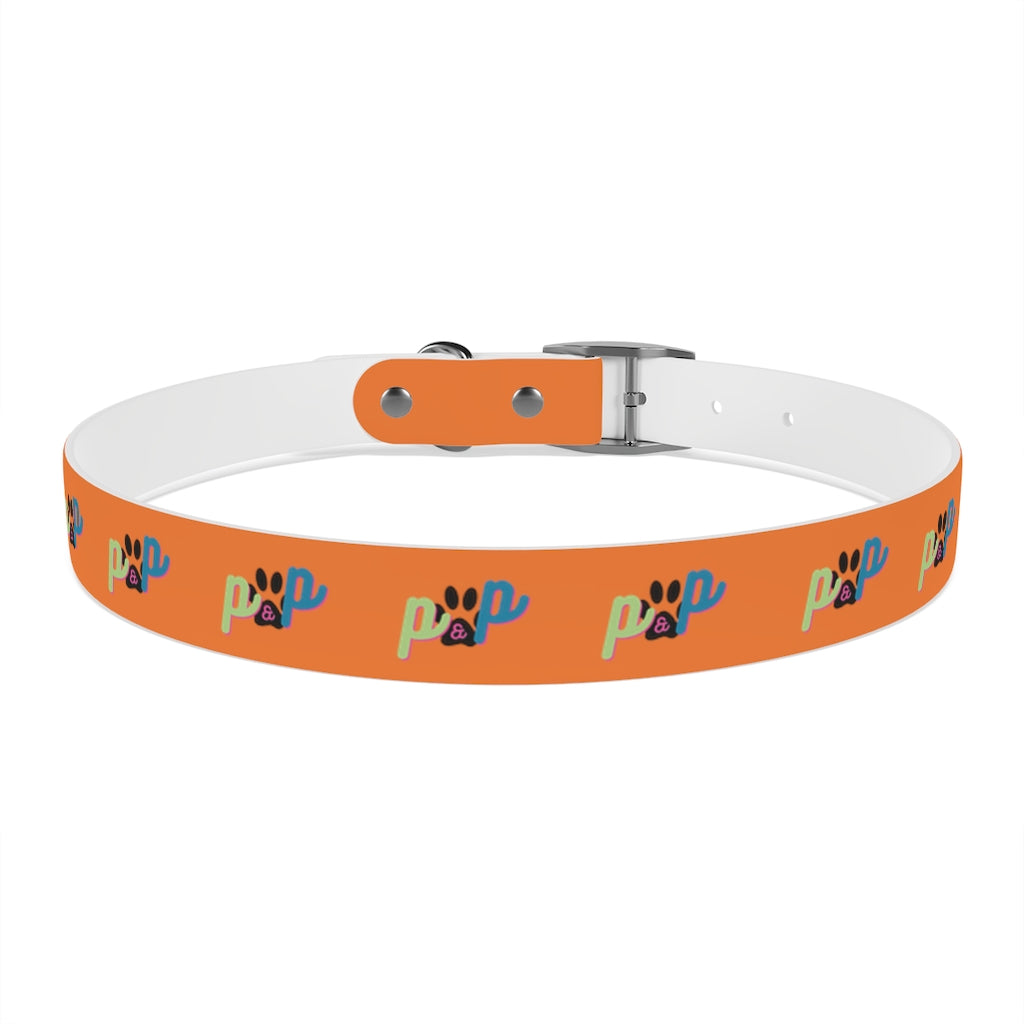 P&P Dog Collar - Orange