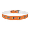 P&P Dog Collar - Orange