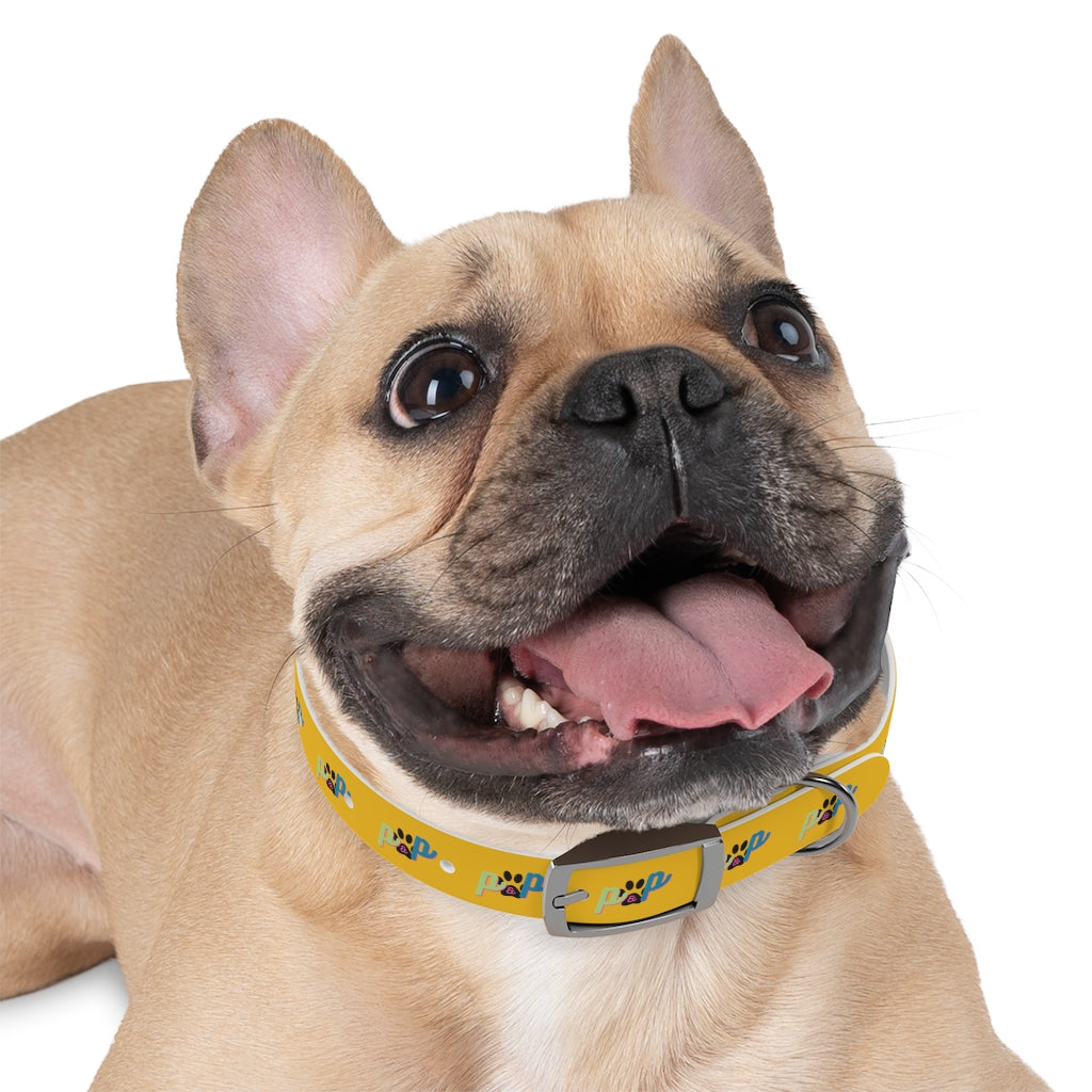 P&P Dog Collar - Yellow