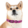 P&P Dog Collar - Pink