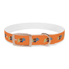 P&P Dog Collar - Orange