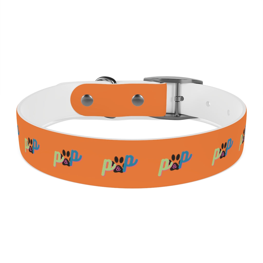 P&P Dog Collar - Orange