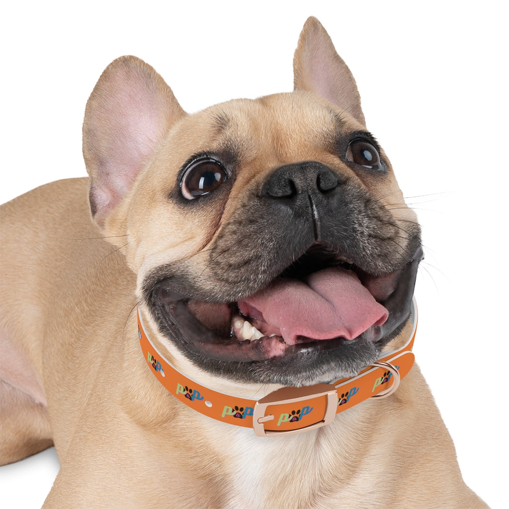 P&P Dog Collar - Orange