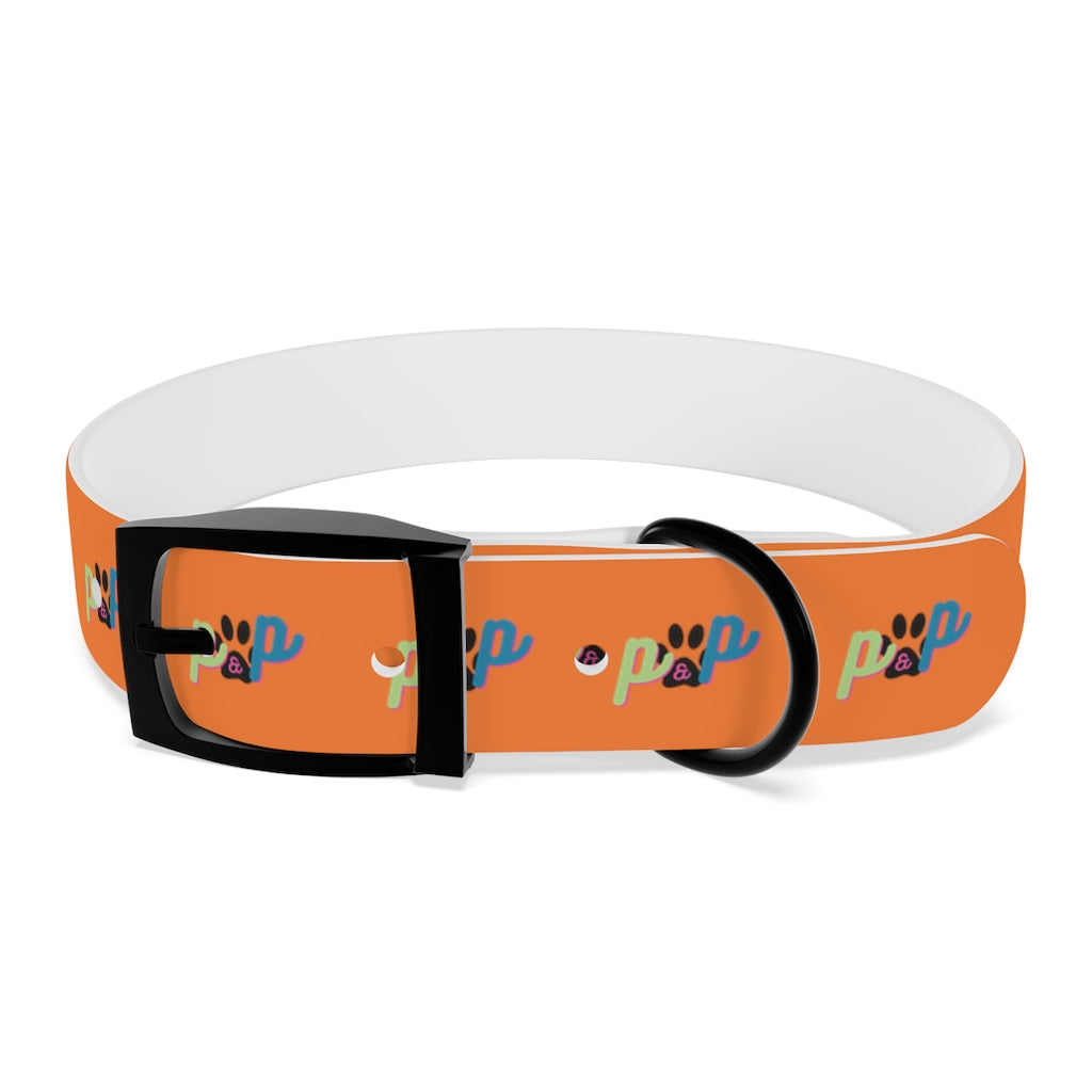 P&P Dog Collar - Orange