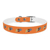 P&P Dog Collar - Orange