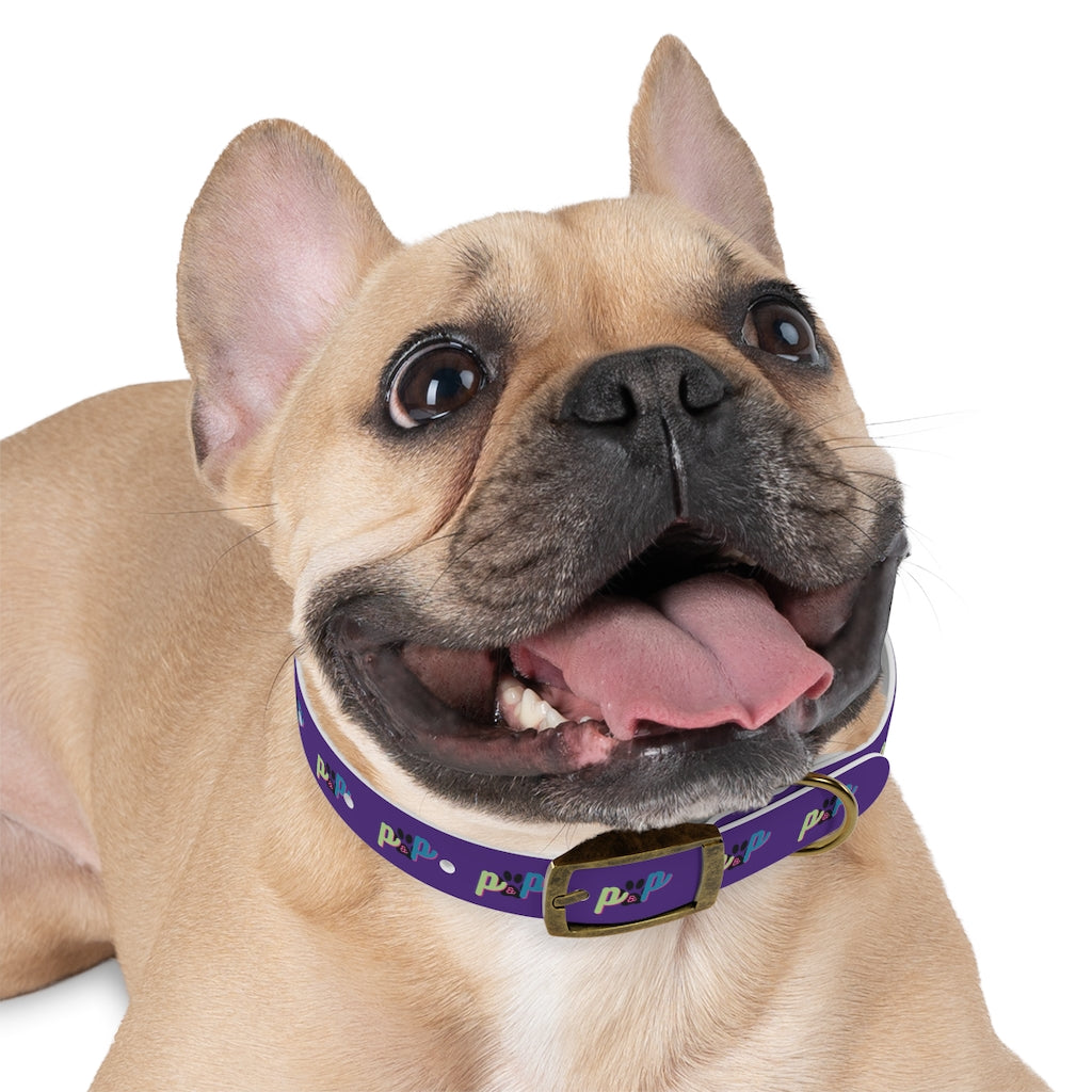 P&P Dog Collar - Purple