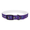 P&P Dog Collar - Purple