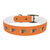 P&P Dog Collar - Orange