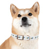 P&P Dog Collar - White