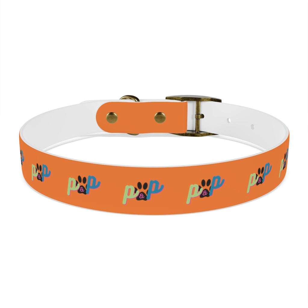 P&P Dog Collar - Orange