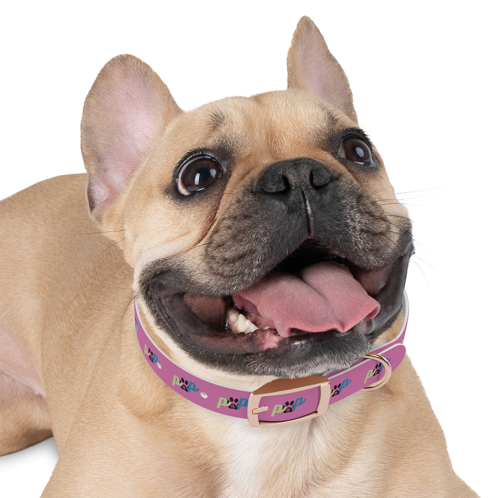 P&P Dog Collar - Pink