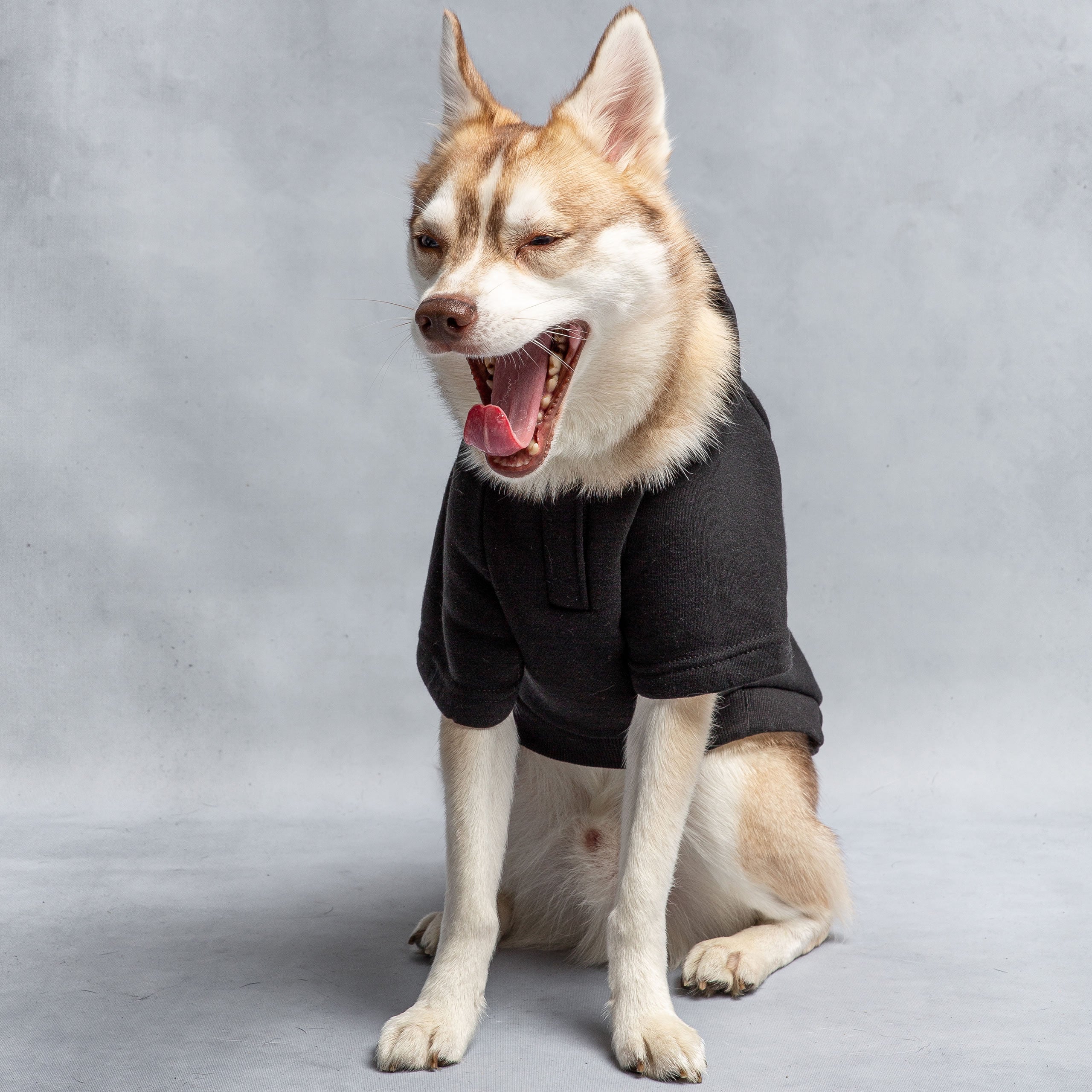 Hooded Dog Fleece - Army