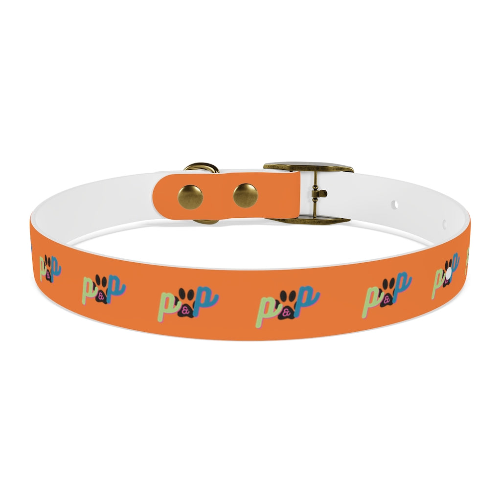 P&P Dog Collar - Orange